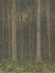 Skovinteriør